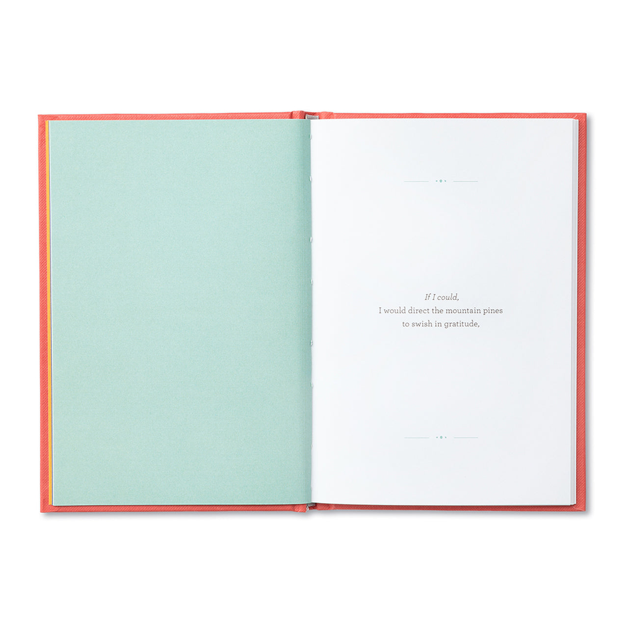 "How Can I Say Thank You?" – A Playful Ode to Gratitude - The Grateful Collective