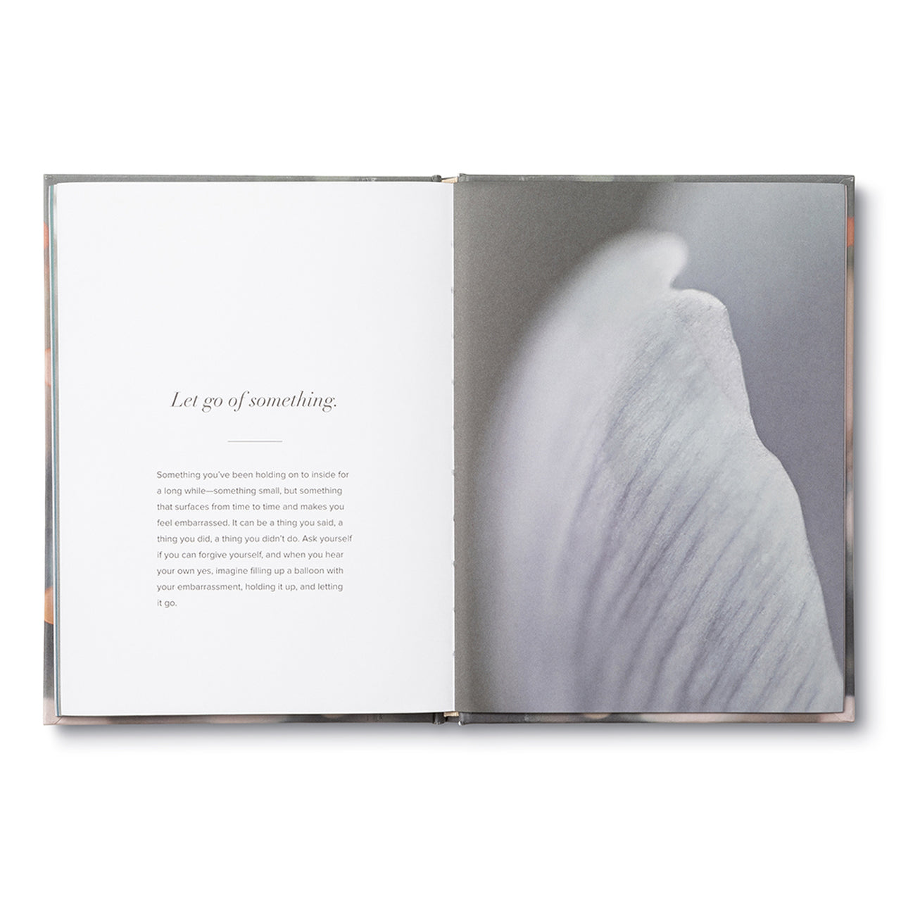 "No Ordinary Days: Little Exercises to Change Everything" – Transform Your Everyday Moments - The Grateful Collective