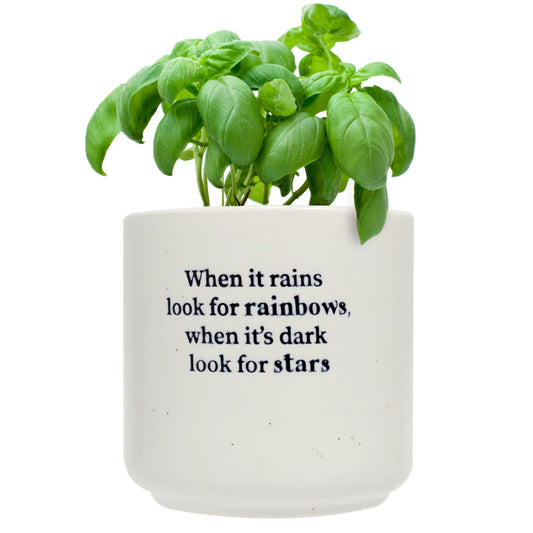 Splosh Ceramic Planter – Infuse Positivity into Your Home Decor - The Grateful Collective