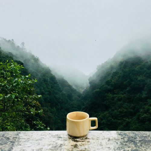 The Benefits of Morning Affirmations and How to Use Them Effectively - The Grateful Collective