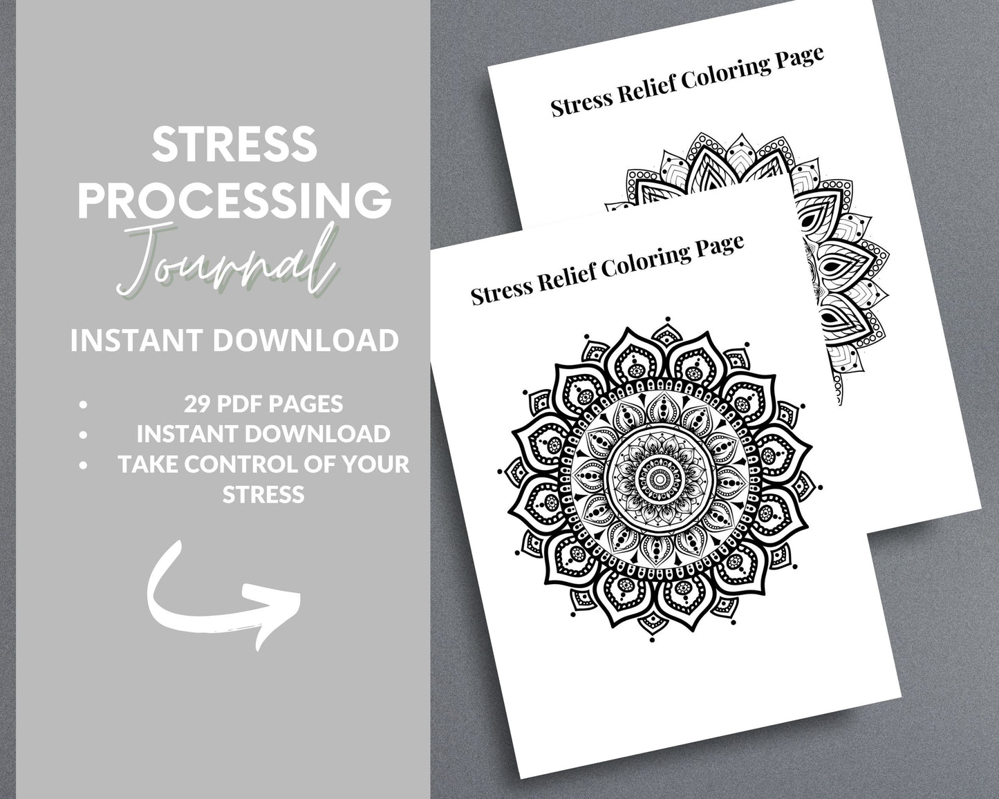 Stress Processing Journal – Reduce Anxiety, Track Stress & Improve Well-Being | Printable PDF