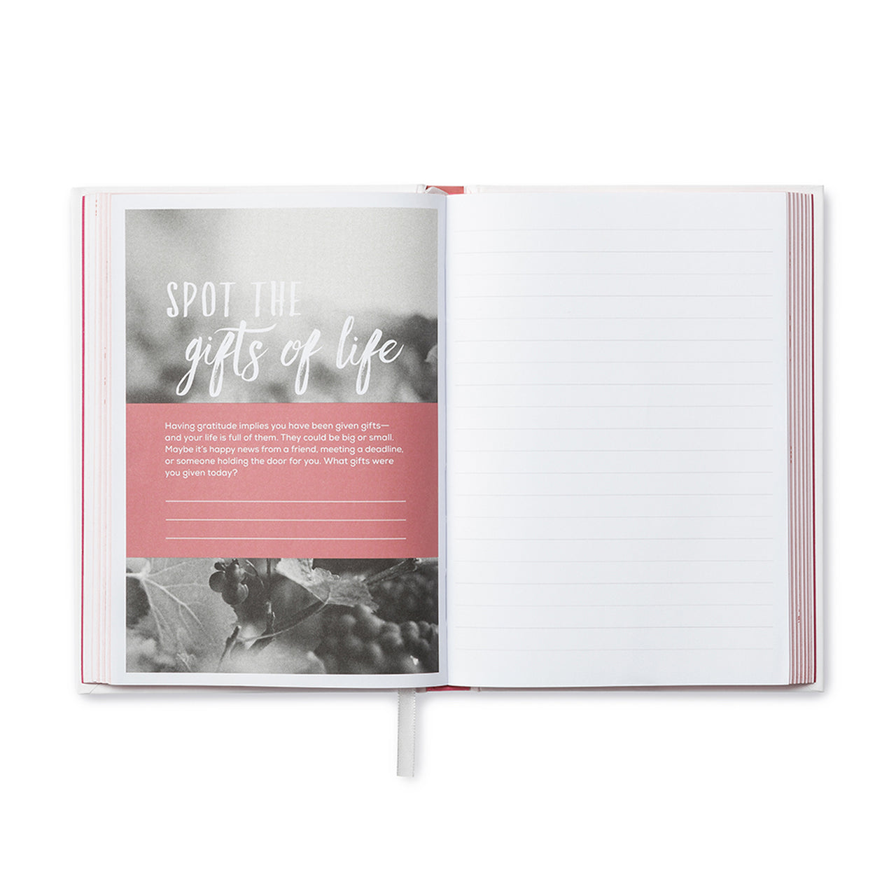 Finding Gratitude Journal – Embrace Positivity and Mindfulness Daily - The Grateful Collective