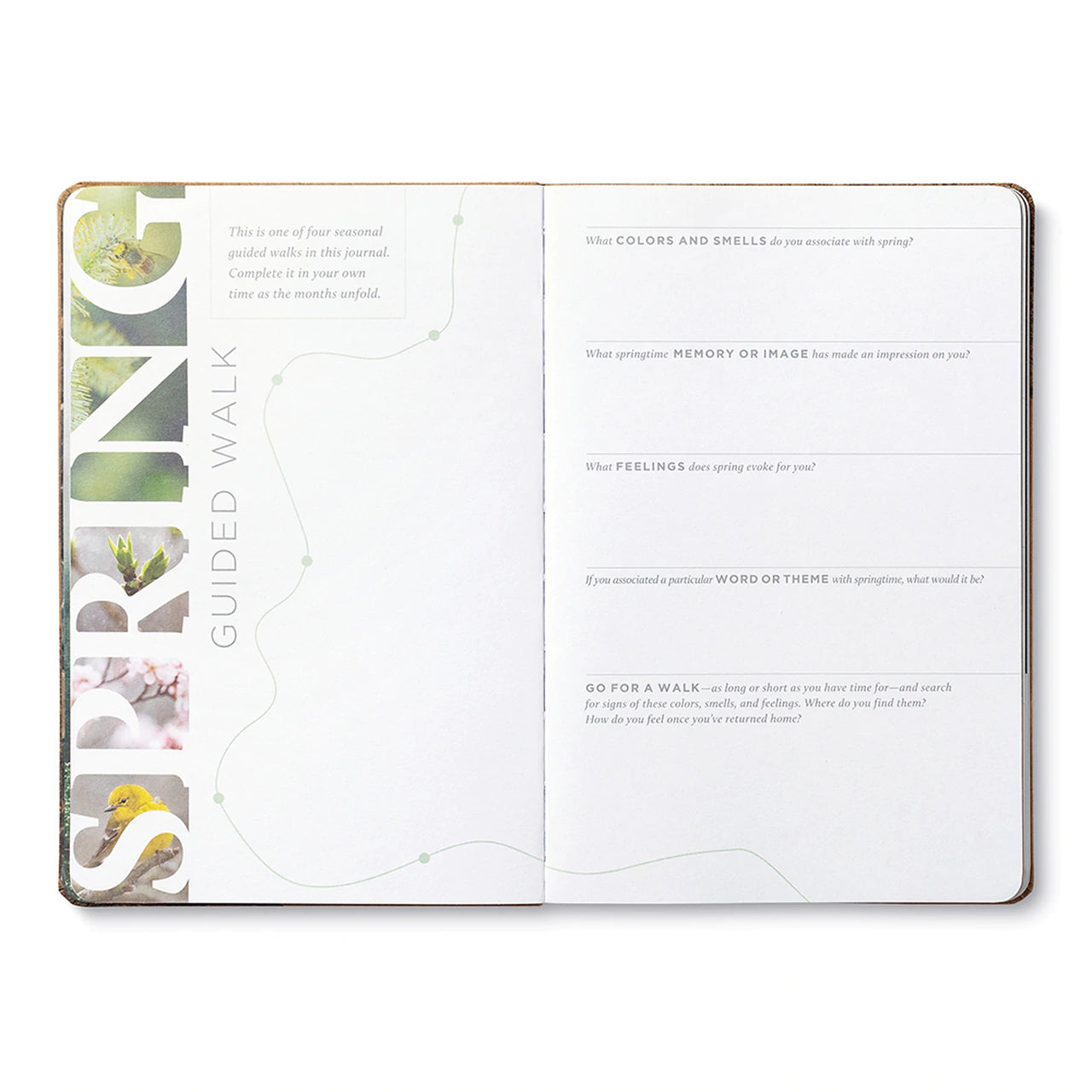 "Outside In: Questions, Quotes, and Activities to Connect You to Nature" – Embrace the Outdoors Within - The Grateful Collective
