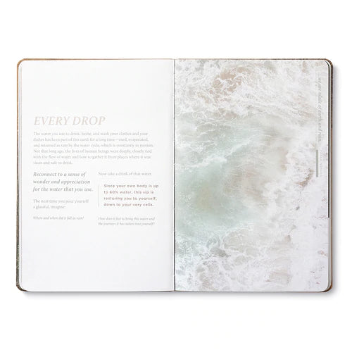 "Outside In: Questions, Quotes, and Activities to Connect You to Nature" – Embrace the Outdoors Within - The Grateful Collective