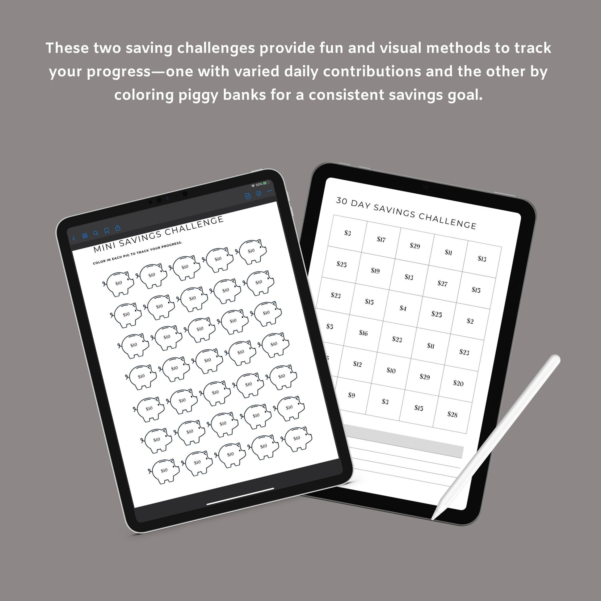 Budget Planner | Printable Finance Tracker | Digital PDF Download