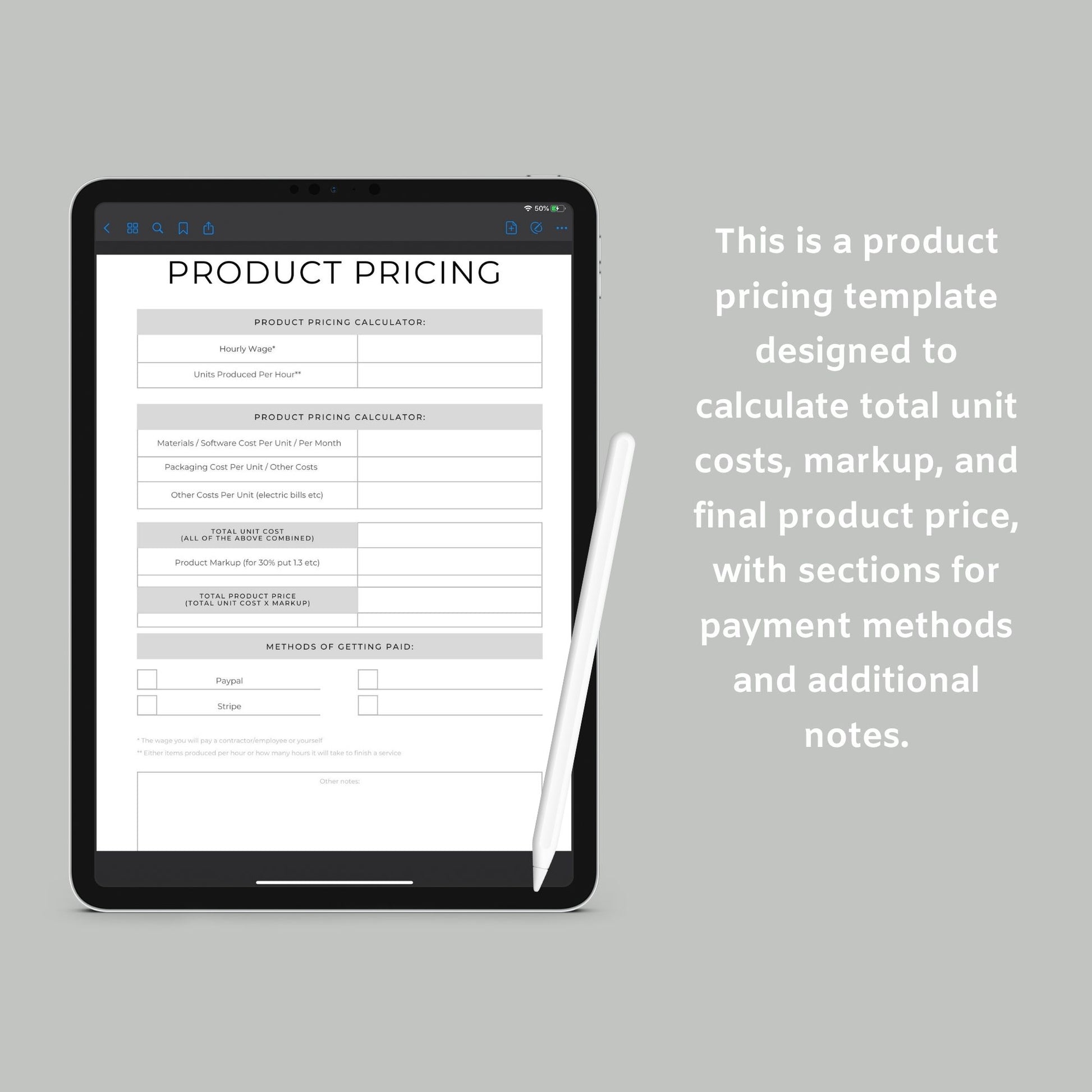 Digital Product Planner | Online Business Strategy Guide | PDF